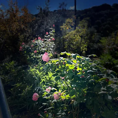 Δωμάτια Εξοχή-With fireplace&view to the sea