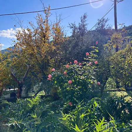 Εξοχικό σπίτι Δωμάτια Εξοχή-With fireplace&view to the sea