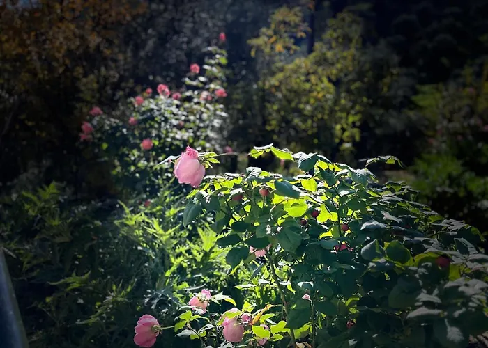Δωμάτια Εξοχή-With Fireplace And View To The Sea